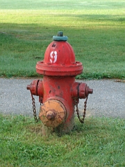 2006-08-19 (23)